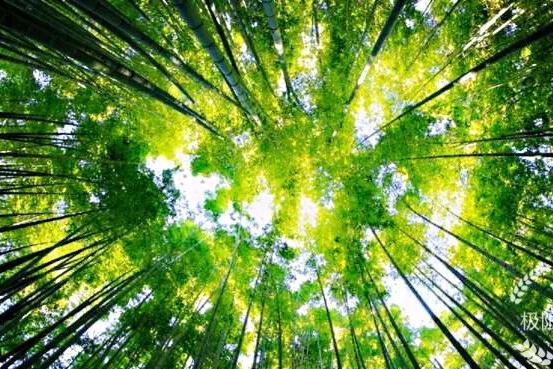 06/05号||极限户外||栲栳山古道穿越，采摘杨梅，品味鸣鹤千年古镇，休闲线，两人同行转发链接集赞立减100元