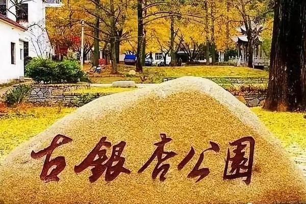 ||极限户外||11/20号行摄长兴十里银杏画廊/走进《长津湖》拍摄地长兴煤山/集赞送午餐门票