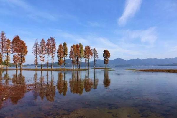 ||极限户外|| 10/14号秋意浓/水杉渐红/徒步燕窝古道/将军山古道/观奇峰异石/龙潭飞瀑/探幽谷秘境/寻避世隐居胜
