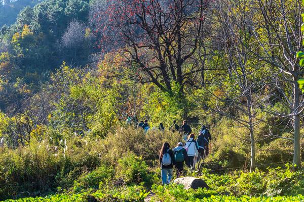 【已成团】11.18（周五）甘花溪 | 大峪登顶甘华溪，小众目的地，承包秀美小草甸