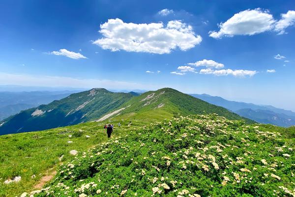 04.09（周日）草链岭 | 登高山草甸·观石海云海·打卡东秦岭第一高峰