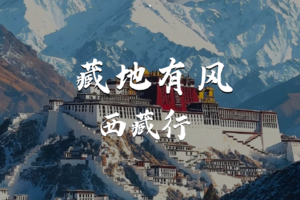 藏地有风-跨越第三极西藏行