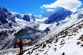 1150516sfsnjrioh5pxrjs