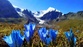 微信图片_20171222152840