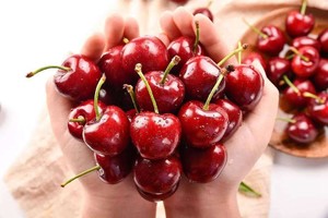 正宗汶川原生态车厘子 当季时令水果