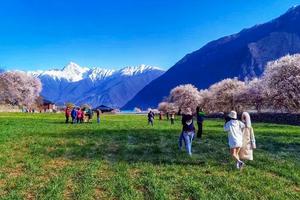 【2023年 雪域桃花】2-6人拼车·G317+G318+林芝桃花+金川梨花丨人文、风景一次看遍11日