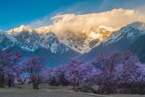 【2023年 林芝·桃花】2-6人拼车，林芝桃花+波密桃花+雅鲁藏布大峡谷+然乌湖+来古冰川+南迦巴瓦峰5日