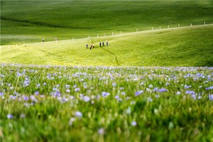 【喀拉峻小环线】行走天山 新疆喀拉峻环线—徒步世界自然遗产4日