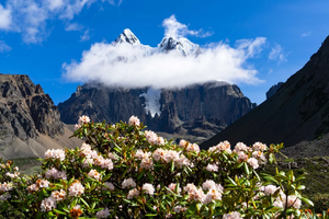 【2025他念他翁】藏东南最美徒步路线，邂逅雪山、花海、星空、海子群！