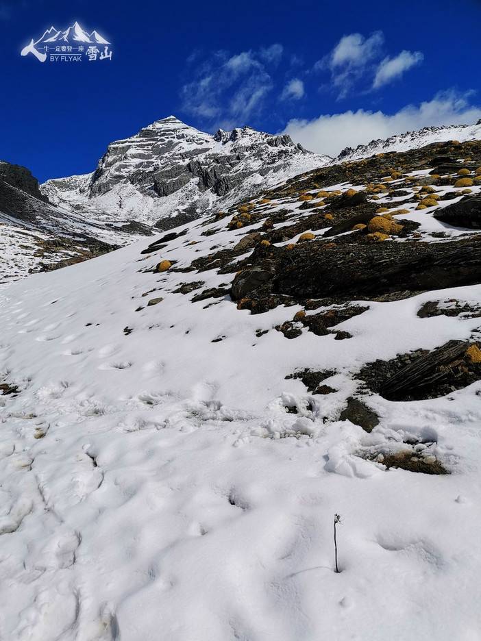 人,一生一定要登一座雪山。 人,一生一定要登一座雪山。