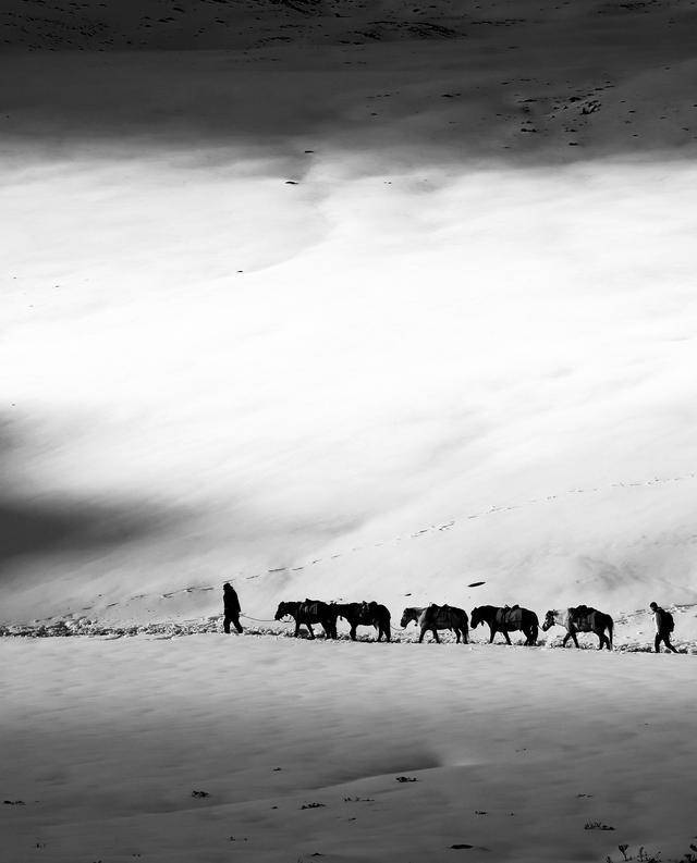 不为修行,只为与你相遇--冷噶措