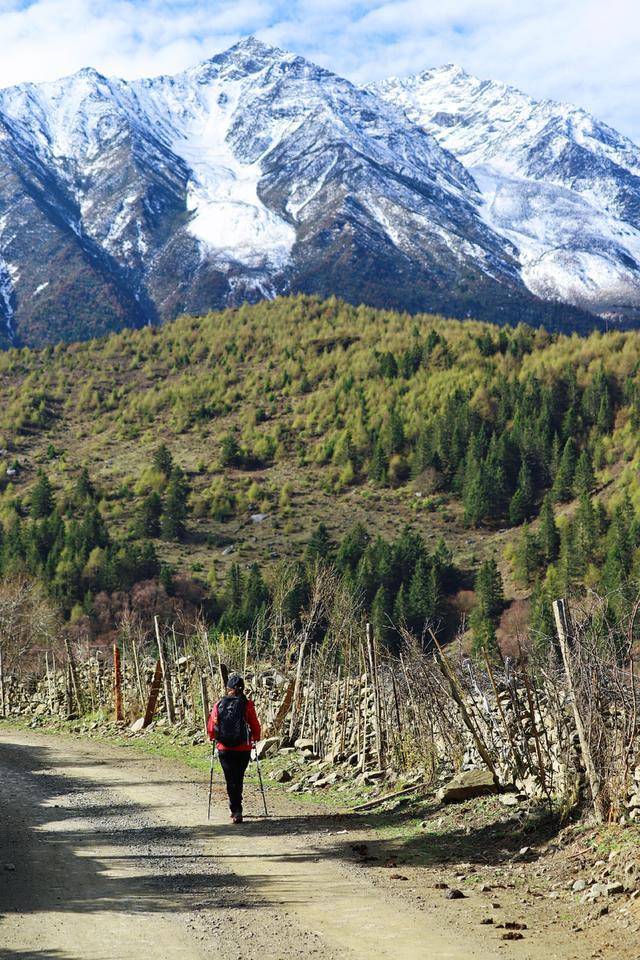 不为修行,只为与你相遇--冷噶措