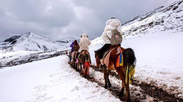 不为修行,只为与你相遇--冷噶措