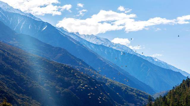 不为修行,只为与你相遇--冷噶措