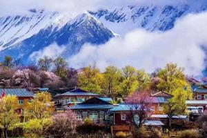 【雪域桃花】波密桃花沟、雅鲁藏布大峡谷、新路海、德格印经院、金花梨花行摄10日