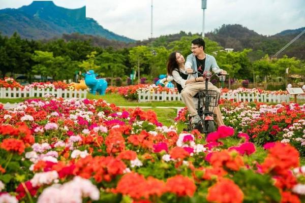 确定成行，特价旅游 | 3月14日高明美的·鹭湖安纳希小镇，盈香生态园百花盛会一天游