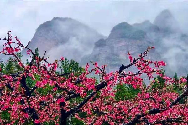 确定成行 | 3月2日2024年第二届粤赣两省穿越暨连平桃花15公里徒步节
