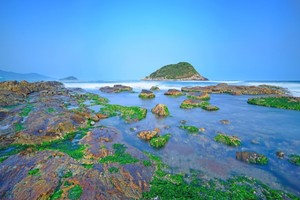 确定成行 | 2月22日惠东黑排角海岸线经典徒步，候鸟天堂盐洲岛感受古村渔味生活