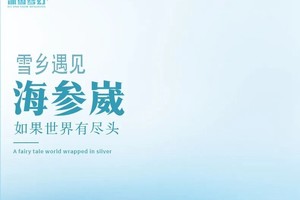 确定成行丨11-2月雪乡遇见海参崴—哈尔滨进海参崴出，哈尔滨+海参崴8天7晚