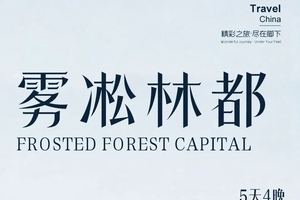 确定成行丨11-2月雾凇林都5日2-6人散拼小团—伏尔加庄园，五营森林公园，汤旺河，库尔滨雾凇，火山地质公园，日月峡滑雪