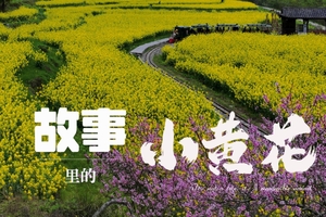 确定成行丨3-4月春之宣言：故事里的小黄花5天—狮子关，仙山贡水，彭家寨，女儿城，恩施大峡谷，云龙河地缝，七星寨