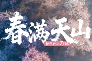 确定成行丨3-4月童话新疆·春满天山7日—吐尔根、大西沟杏花谷，赛里木湖，那拉提顶冰花，雪岭云杉，独山子大峡谷，木特塔尔
