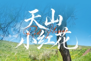 确定成行丨3-4月绝色新疆·天山红花7日—2-6人小团 S101网红国防公路 天山红花 苹果花 赛里木湖 库尔德宁