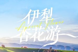 确定成行丨3-4月绝色新疆-伊犁杏花6日—2-8人 吐尔根 那拉提冰百合 大西沟杏花 独山子大峡谷 赛里木湖
