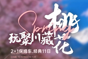 确定成行丨3-4月玩聚川藏桃花节—此生必驾318升级2+1保姆车11日