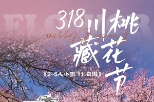 确定成行丨2-4月玩聚川藏桃花节—此生必驾318  2-5人小团11日