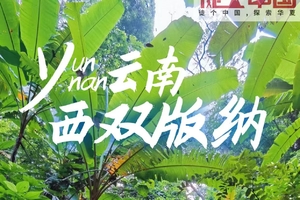 确定成行丨3月8-13日徒个中国·云南—西双版纳原始热带雨林徒步6日