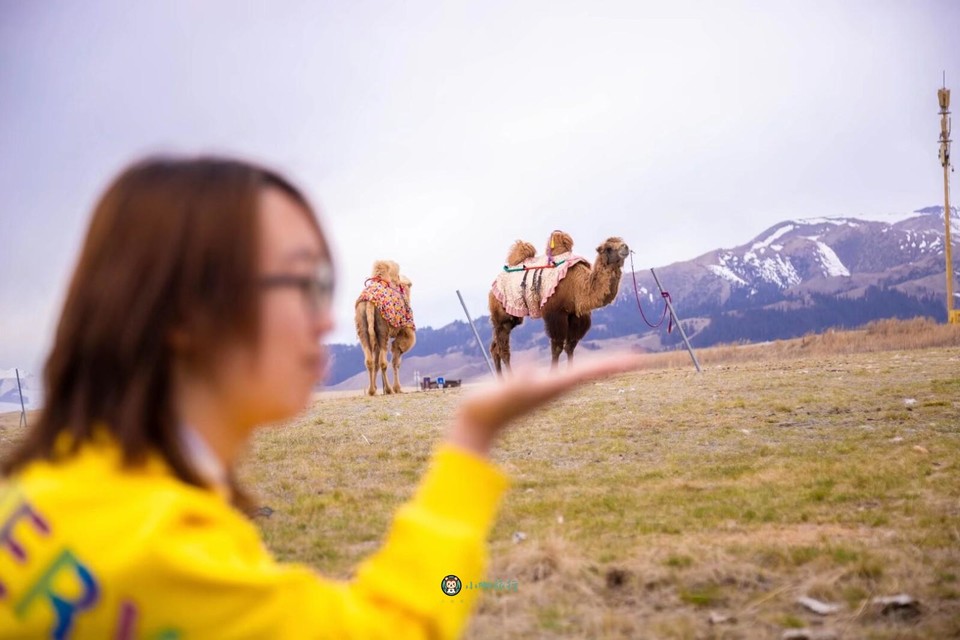 mmexport1712468393020