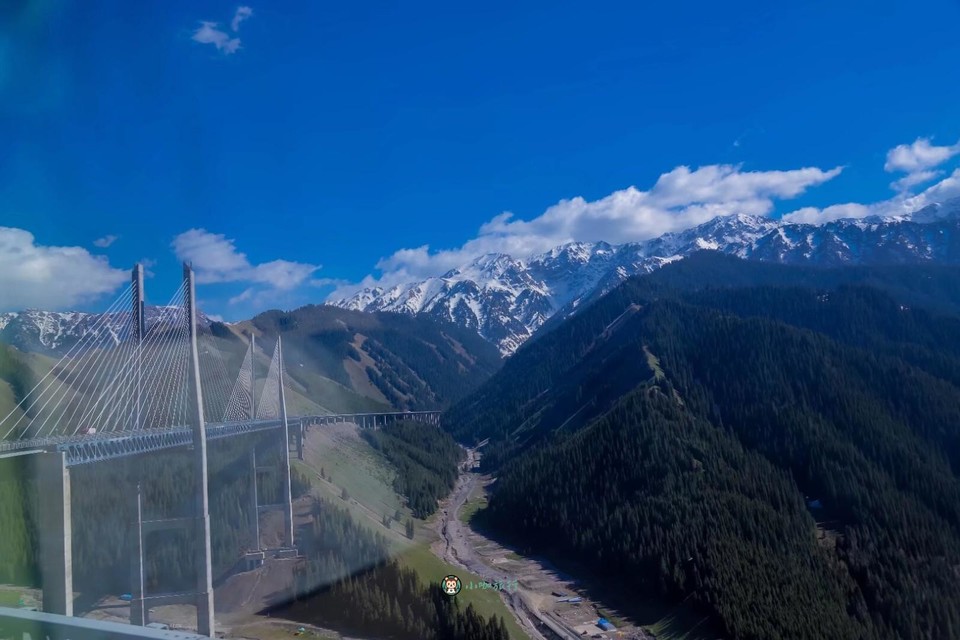 mmexport1712468435207