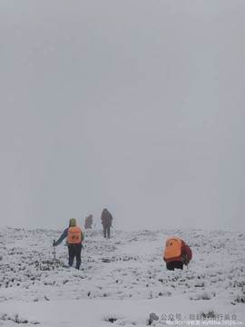 mmexport1742209363222