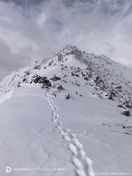 mmexport1742173249878