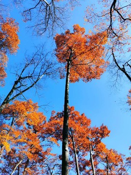 6eo4JIwVfW9her9KjxS4MXYZiypk064CxqubmYFLtMO7USW37wnk3X2sWVqkUSgC