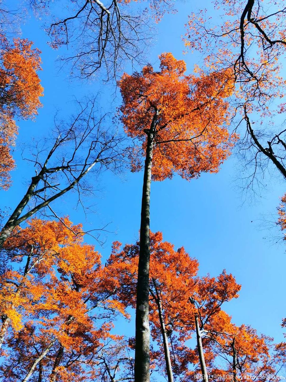 6eo4JIwVfW9her9KjxS4MXYZiypk064CxqubmYFLtMO7USW37wnk3X2sWVqkUSgC