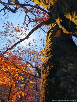 EF4X5F9DNoqHC9KJFhegAlUXssY9KCEfymtCeMjG2o_f1kyWEmXkUf0EIZFZDWs_