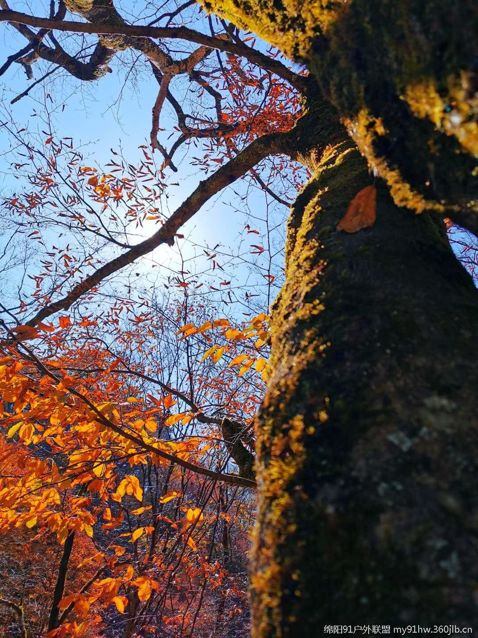 EF4X5F9DNoqHC9KJFhegAlUXssY9KCEfymtCeMjG2o_f1kyWEmXkUf0EIZFZDWs_