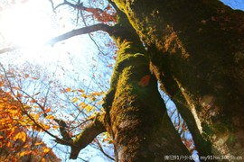 -yTvWsRjhFBiGbn8rUh8asCe-5-9M6V0_ksbwk6io3piusFVL-t8g9mIO_EAnnfi