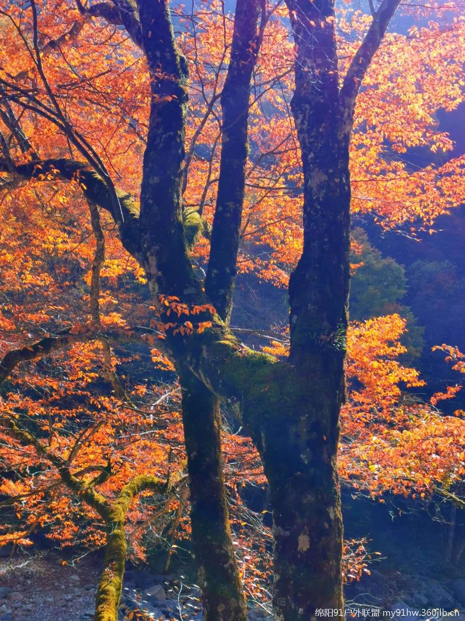 CUPPqhQWMrWXhF195vjTh5Jtk87IMgZ6Mqh7GNie6JF43id0LMovNyuCmHCB9mV5