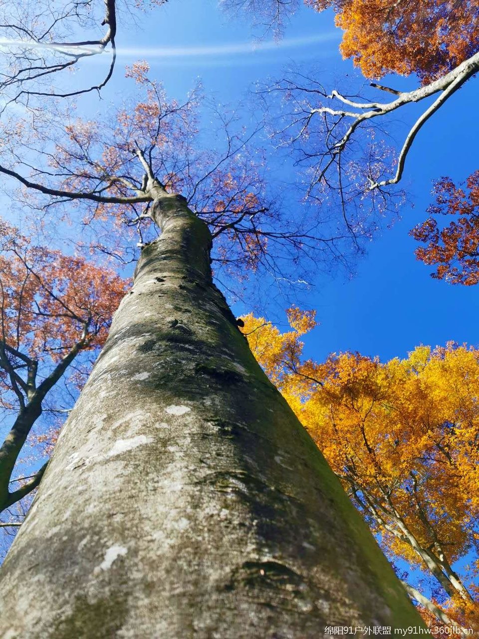 78UJCpL9vQE5i7USZ_o6Ro6EcC8a0egozb2TmKaGeQdDUb4YyXh9-LNkvEWlvap9