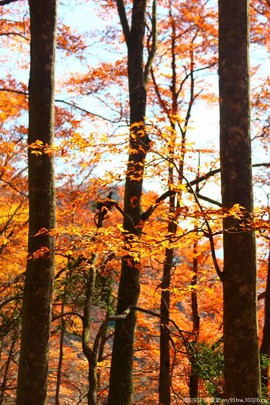 YoDl2l5CPBAfMF1iyzioNFBt1Nyy7Z9V0KDAPUcY8Amnvwla2BlyASqVsGlWggY2