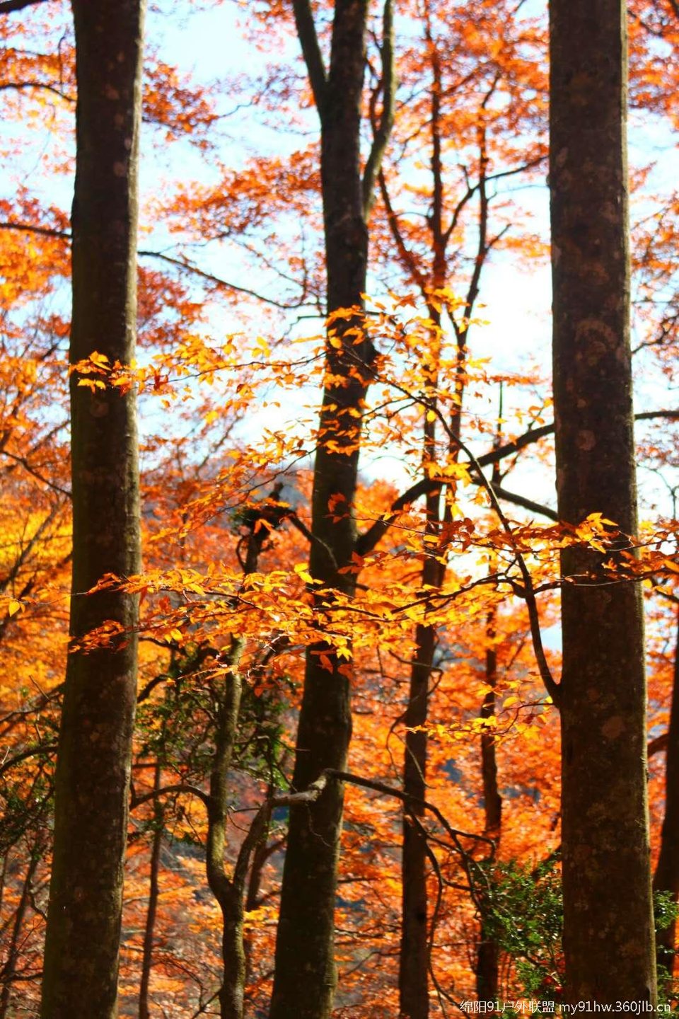 YoDl2l5CPBAfMF1iyzioNFBt1Nyy7Z9V0KDAPUcY8Amnvwla2BlyASqVsGlWggY2