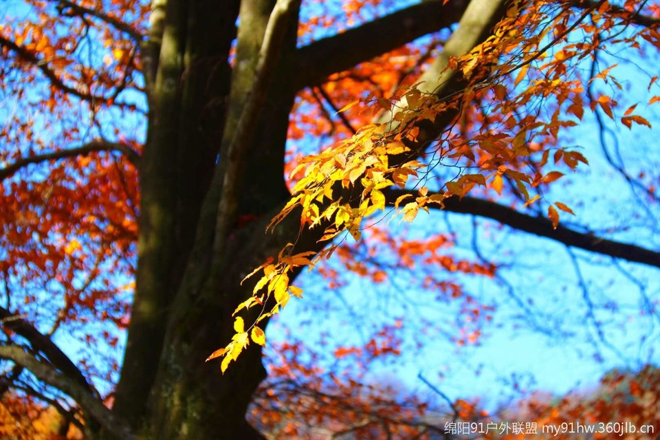 krYEcxGV2zq-wLU7NGhkLm0I9JK813nWwgdF5VFWrJ4nBhYpF4HzGXElKov07fEJ