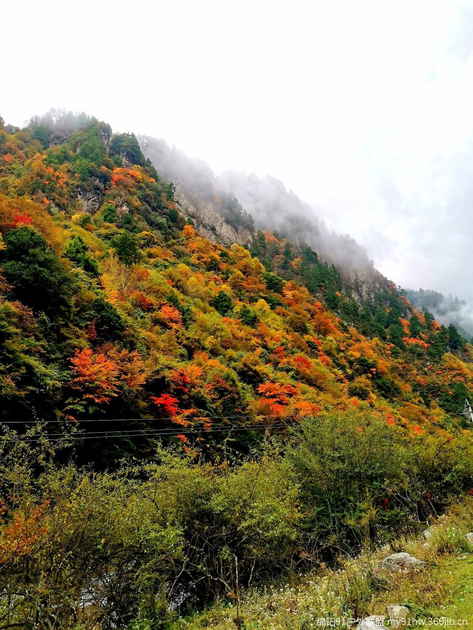 mmexport1571897852542