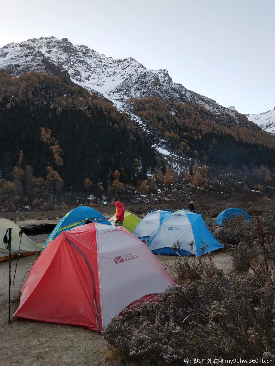 A2g5svVVtFQbFISAzvNjXYMk9jdCQXxtYHhp4-y83z0U2ZG8jJ12mpi3WmFU6dUd