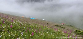 PxxEdrINgxeB0wXRdw45no87y462WjIWHaMtK4nLMmZwpdBPE9Wuor1sKMUM-EQF