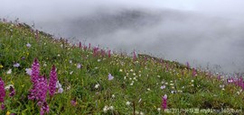 NetsR4Ku9cZBZ9kvE4PcDilkFFHxVpCrnSaln27ud4HpdyFKtrKlGwpk_KluNg5H