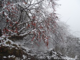 SJgCwDGxqFfmL1LOkcQFKEYzexixxArSmFwiwadrLcwruomUJufPoMoSWJKnRKqa